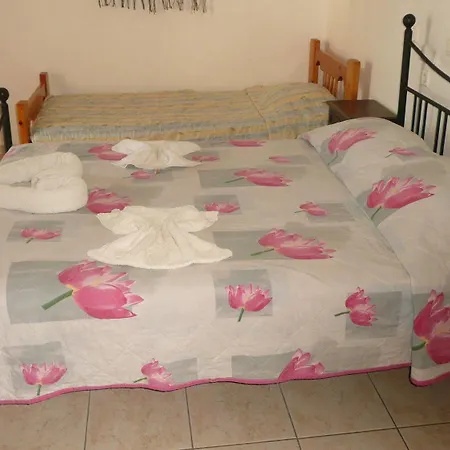 Des Roses 2*